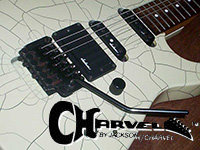 Original icon for my Charvel Guitars Facebook Group