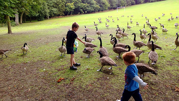 Damien and Vaughan feeding the geese